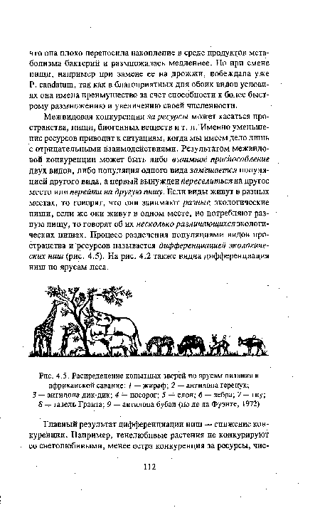 Распределение копытных зверей по ярусам питания в африканской саванне