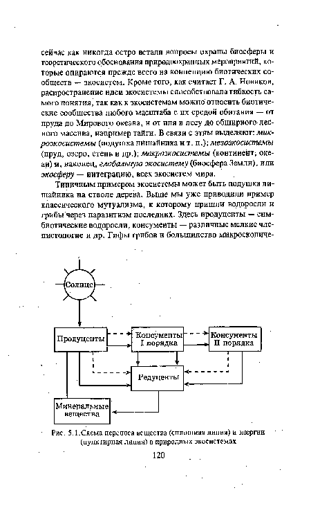 Схема переноса вещества (сплошная линия) и энергии (пунктирная линия) в природных экосистемах