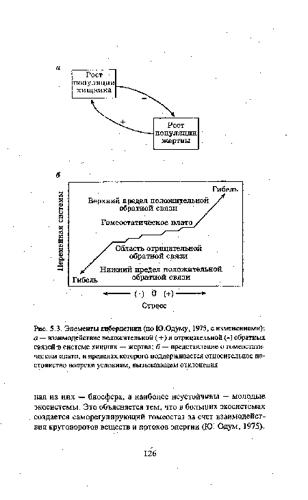 Элементы кибернетики (по Ю.Одуму, 1975, с изменениями)