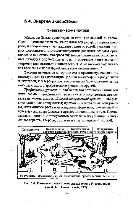 Пищевые взаимосвязи организмов в биогеоценозе (по И. Н. Пономаревой, 1978)