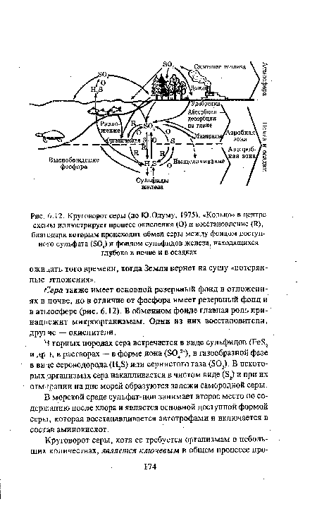 Круговорот серы (по Ю.Одуму, 1975). «Кольцо» в центре схемь