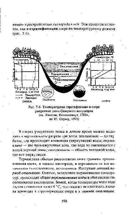 Температурная стратификация в озере умеренной зоны Северного полушария (оз. Лннсли, Коннектикут, США; по Ю. Одуму, 1975)