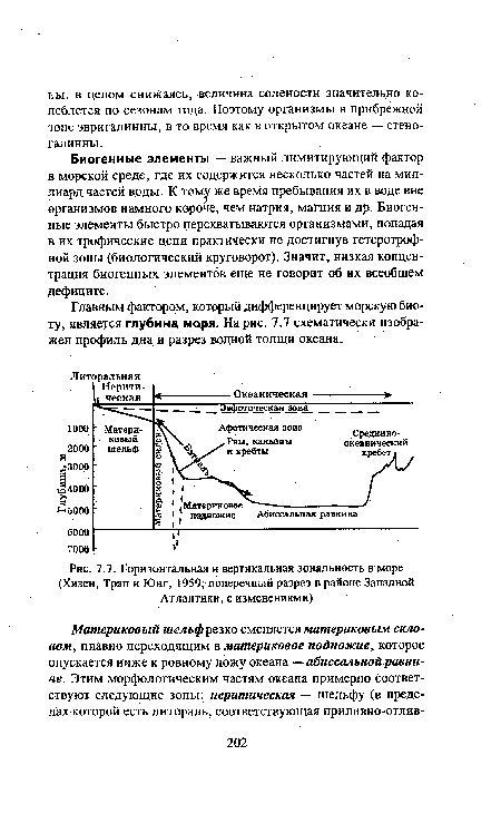 Горизонтальная и вертикальная зональность в море (Хизен, Трап и Юнг, 1959; поперечный разрез в районе Западной Атлантики, с изменениями)