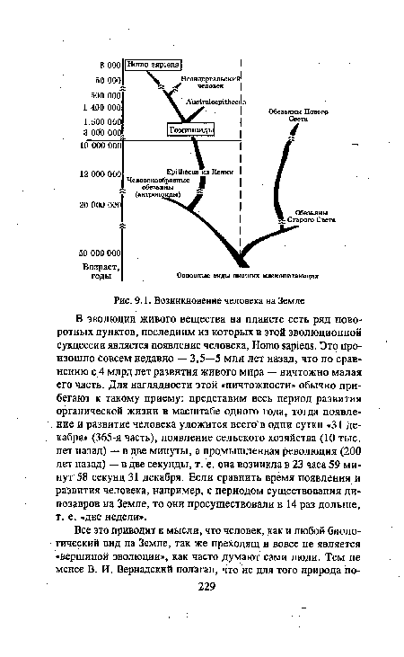 Возникновение человека на Земле