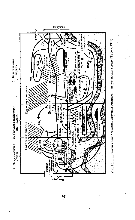 Динамика экологической системы «человек — окружающая среда» (Тибор, 1979)