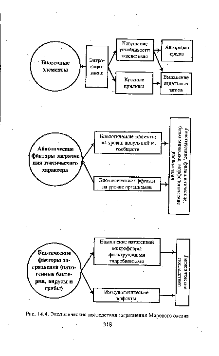 Экологические последствия загрязнения Мирового океана