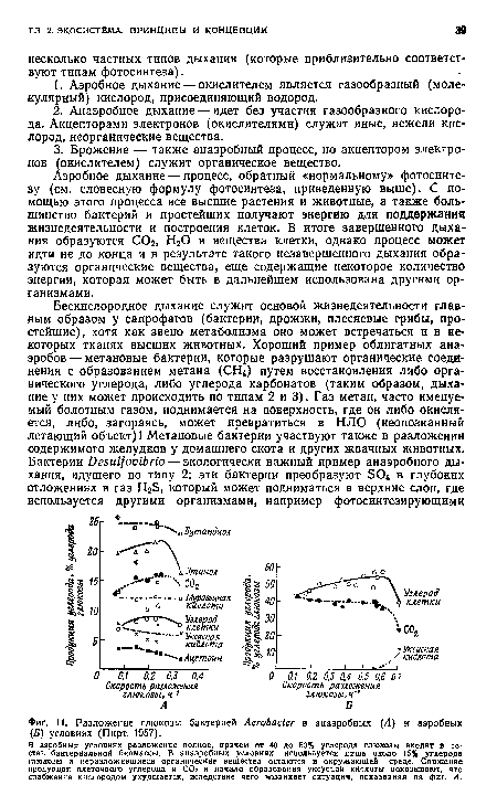Разложение глюкозы бактерией АегоЬаЫег в анаэробных (А) и аэробных (Б) условиях (Пирт, 1957).