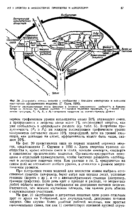 На фиг. 20 представлена одна из первых моделей переноса энергии, предложенная Г. Одумом в 1956 г. Здесь очерчена граница сообщества и, кроме потоков света и тепла, показан «импорт», «экспорт» и накопление органического вещества. Организмы-«редуценты» помещены в отдельный прямоугольник, чтобы частично разделить пастбищные и детритные пищевые цепи Как указано в гл. 2, «редуценты» на самом деле не составляют особого уровня, а относятся к разным энергетическим уровням.