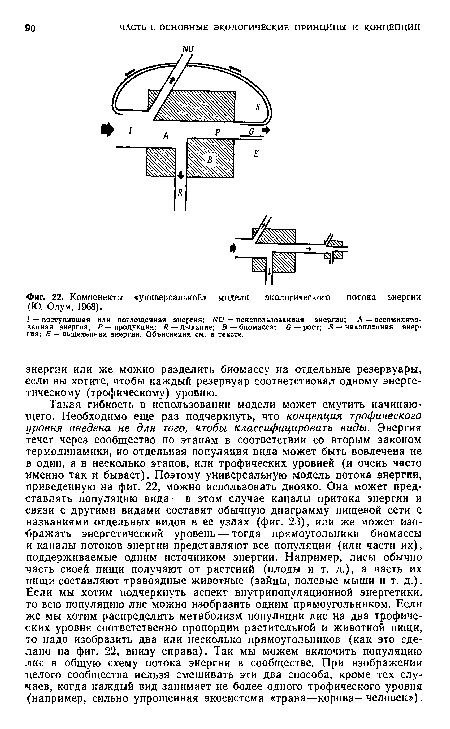 Компоненты «универсальной» модели экологического потока энергии (Ю. Одум, 1968).