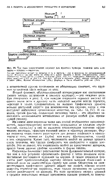 Второй феномен, обусловливающий интересующее нас соотношение (много мелких организмов и немного крупных), — это пищевая цепь. Как говорилось в разд. 2, при каждом очередном переносе энергии от одного звена цепи к другому часть полезной энергии Всегда теряется, переходя в тепло. Следовательно, на высших трофических уровнях меньше доступной энергии (за исключением тех случаев, когда к ним поступает добавочное органическое вещество, см. табл. 13, IV). И наконец, третий фактор, создающий пирамиду чисел, — это обратная зависимость интенсивности метаболизма от размера особей (см. предыдущий раздел).