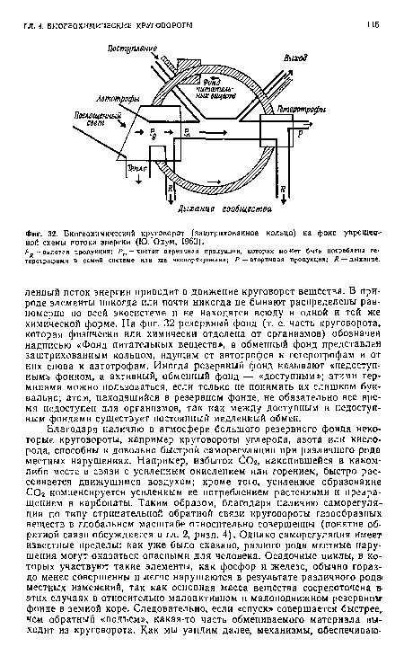 Биогеохимический круговорот (заштрихованное кольцо) на фоне упрощен  ной схемы потока энергии (Ю. Одум, 1963).