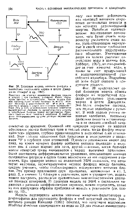 Блоковая модель потоков фосфора в экосистеме засоленного марша в штате Джорджия (Помрой и др., 1967).