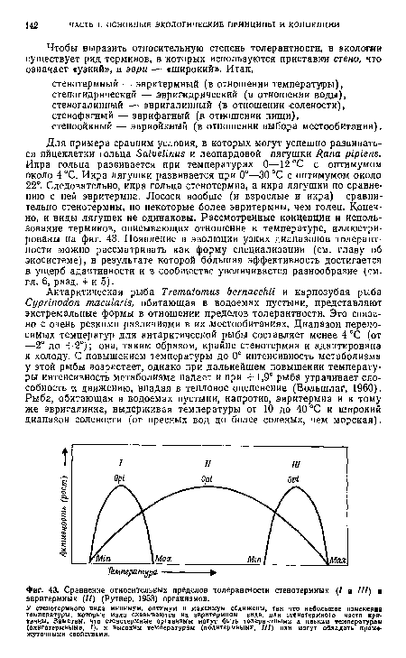 Сравнение относительных пределов толерантности стенотермных (7 и III) и эвритермных (11) (Рутнер, 1953) организмов.