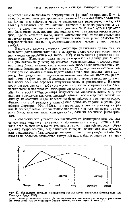 Управление сроками размножения гольца путем изменении фотопериода (и» Хэзарда и Эддн, 1950).