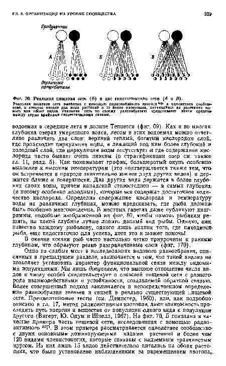 Реальная пнщевая сеть выявлена с помощью радиоактивного изотопа ИР в однолетнем сообще стае, в которое входят два вида растений и 15 видов насекомых, питающихся иа растениях одного или обоих видов. Реальная сеть по своему разнообразию представляет нечто средне» между двумя крайними гипотетическими типами.