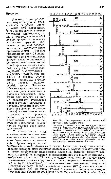 Доминирование одной возрастной группы у рыб (Хьёрт, 1926).