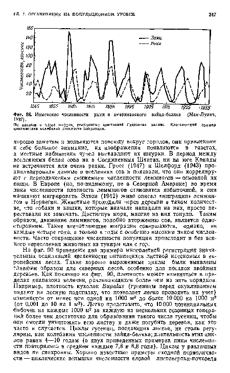 По данным о числе шкурок, полученных компанией Гудзонова залива. Классический пример циклических колебаний плотности популяции.