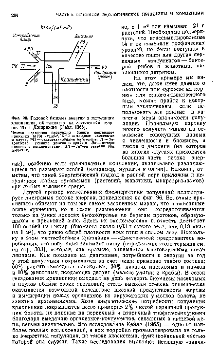 Чистая первичная продукция болота составляет примерно 10 000 ккал/м2. ХНП — хищные насекомые и пауки; PH — растительноядные насекомые; Д — де тритофагн (мелкие улитки и крабы); Эк — потерн энергии с экскрементами; ЭД — потери энергии при дыхании.