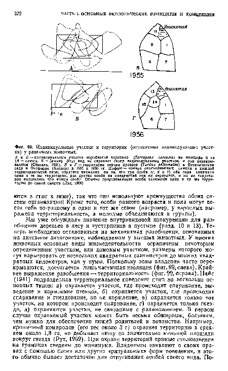 Индивидуальные участки и территории (охраняемые индивидуальные участки) у различных животных.