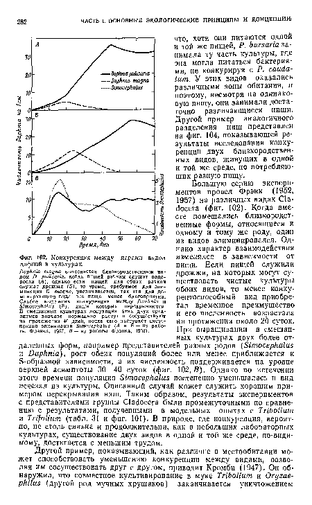 Конкуренция между парами видов дафний в культурах.