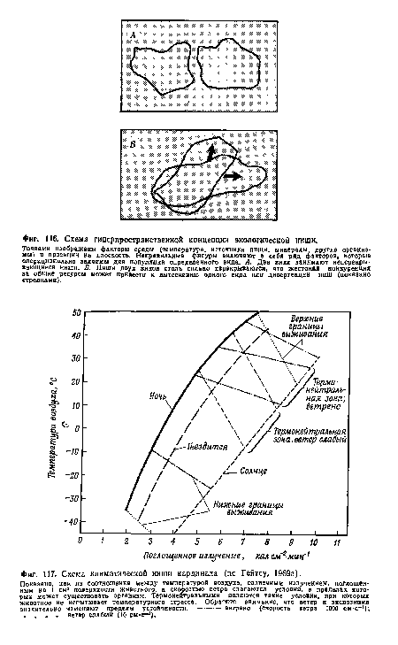 Схема климатической ниши кардинала (по Гейтсу, 1969а).