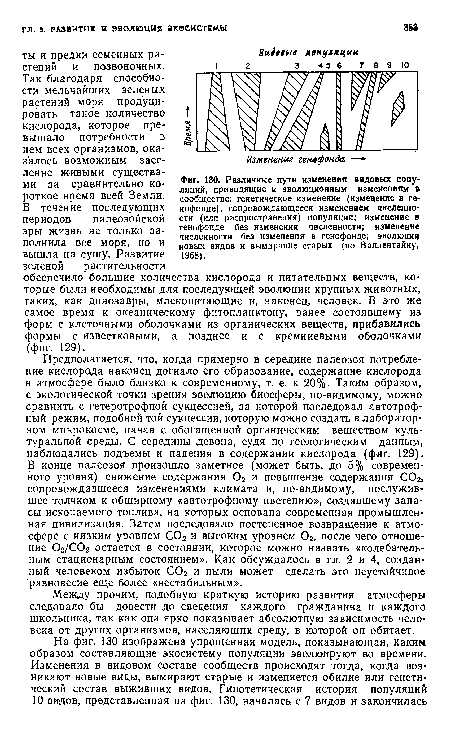 Различные пути изменения видовых популяций, приводящие к эволюционным изменениям в сообществе