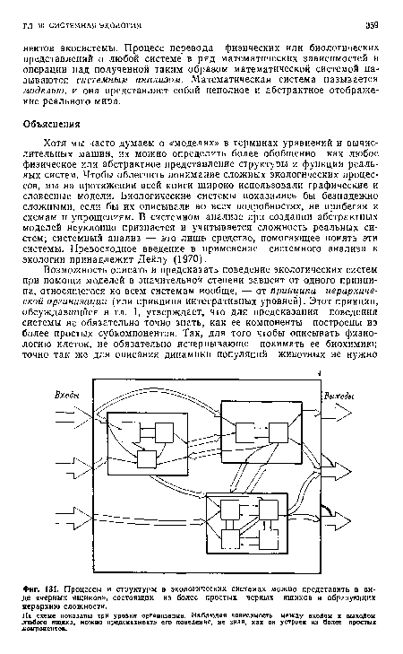 Процессы и структуры в экологических системах можно представить в виде «черных ящиков», состоящих из более простых черных ящиков и образующих иерархию сложности.