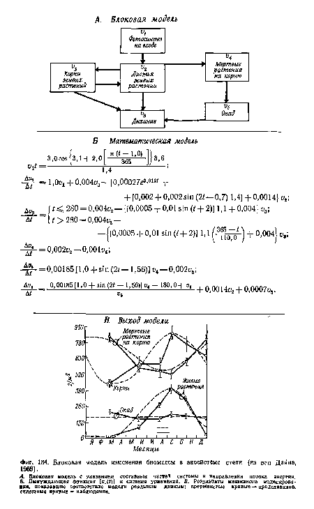 Блоковая модель изменения биомассы в экосистеме степи (из ван Дайна, 1969).