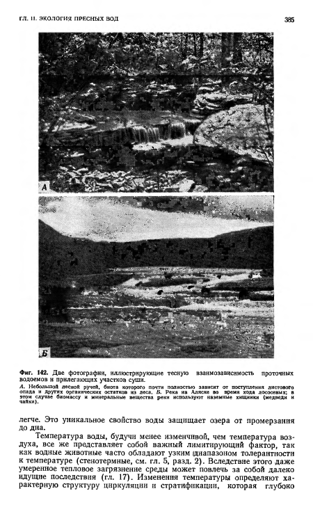 Две фотографии, иллюстрирующие тесную взаимозависимость проточных водоемов и прилегающих участков суши.