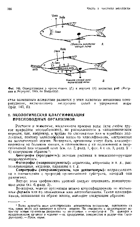 Осморегуляция у пресноводных (Л) и морских (Б) костистых рыб (Флор-кин и Моргулнс, 1949, по Болдуину).