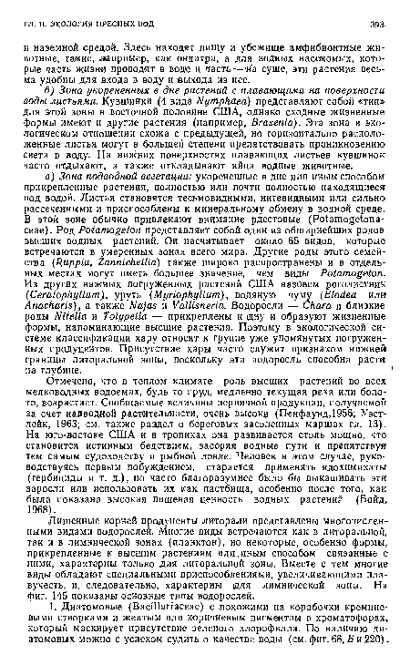 Лишенные корней продуценты литорали представлены многочисленными видами водорослей. Многие виды встречаются как в литоральной, так и в лимнической зонах (планктон), но некоторые, особенно формы, прикрепленные к высшим растениям или.иным способом связанные с ними, характерны только для литоральной зоны. Вместе с тем многие виды обладают специальными приспособлениями, увеличивающими плавучесть, и, следовательно, характерны для лимнической зоны. На фиг. 145 показаны основные типы водорослей.