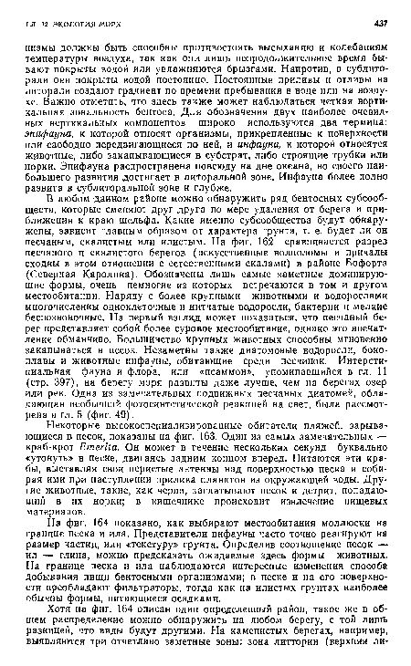 В любом данном районе можно обнаружить ряд бентосных субсообществ, которые сменяют друг друга по мере удаления от берега и приближения к краю шельфа. Какие именно субсообщества будут обнаружены, зависит главным образом от характера грунта, т. е. будет ли он песчаным, скалистым или илистым. На фиг. 162 сравнивается разрез песчаного и скалистого берегов (искусственные волноломы и причалы сходны в этом отношении с естественными скалами) в районе Бофорта (Северная Каролина). Обозначены лишь самые заметные доминирующие формы, очень немногие из которых встречаются в том и другом местообитании. Наряду с более крупными животными и водорослями многочисленны одноклеточные и нитчатые водоросли, бактерии и мелкие беспозвоночные. На первый взгляд может показаться, что песчаный берег представляет собой более суровое местообитание, однако это впечатление обманчиво. Большинство крупных животных способны мгновенно закапываться в песок. Незаметны также диатомовые водоросли, боко-плавы и животные инфауны, обитающие среди песчинок. Интерстициальная фауна и флора, или «псаммон», упоминавшийся в гл. 11 (стр. 397), на берегу моря развиты даже лучше, чем на берегах озер или рек. Одна из замечательных подвижных песчаных диатомей, обладающая необычной фотосинтетической реакцией на свет, была рассмотрена в гл. 5 (фиг. 49).