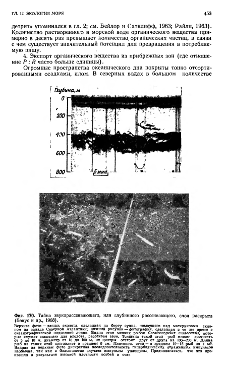 Тайна звукорассеивающего, или глубинного рассеивающего, слоя раскрыта (Бэкус и др., 1968).