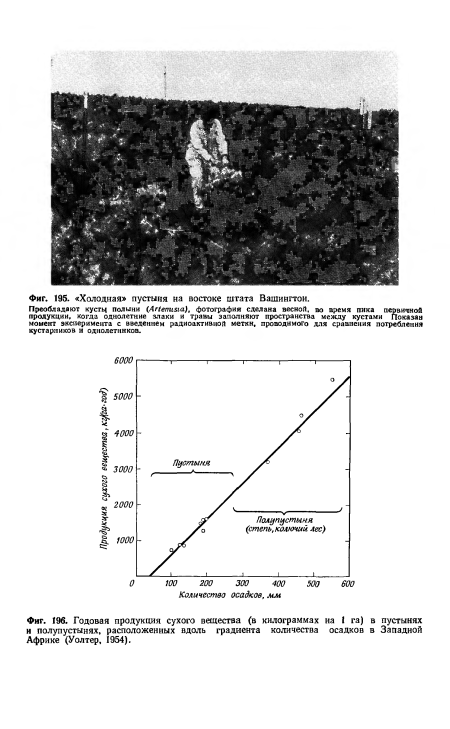 Годовая продукция сухого вещества (в килограммах на 1 га) в пустынях и полупустынях, расположенных вдоль градиента количества осадков в Западной Африке (Уолтер, 1954).