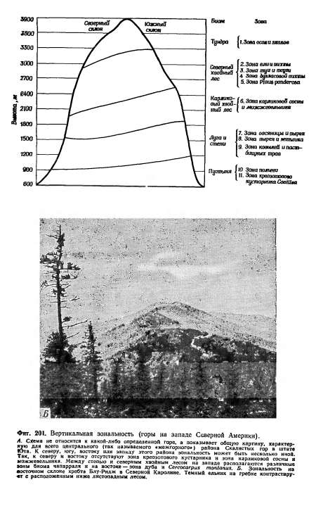 Вертикальная зональность (горы на западе Северной Америки).