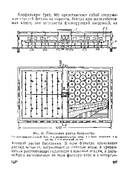 Поперечный разрез биофильтра