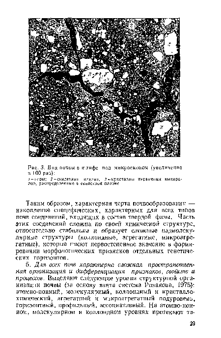 Таким образом, характерная черта почвообразования — накопление специфических, характерных для всех типов почв соединений, входящих в состав твердой фазы. Часть этих соединений сложна по своей химической структуре, относительно стабильна и образует сложные надмолекулярные структуры (коллоидные, агрегатные, микроагре-гатные), которые имеют первостепенное значение в формировании морфологических признаков отдельных генетических горизонтов.