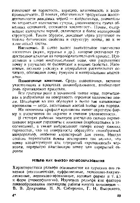 На почвенном профиле кротовины имеют округлую форму и выделяются по окраске и степени уплотненности.