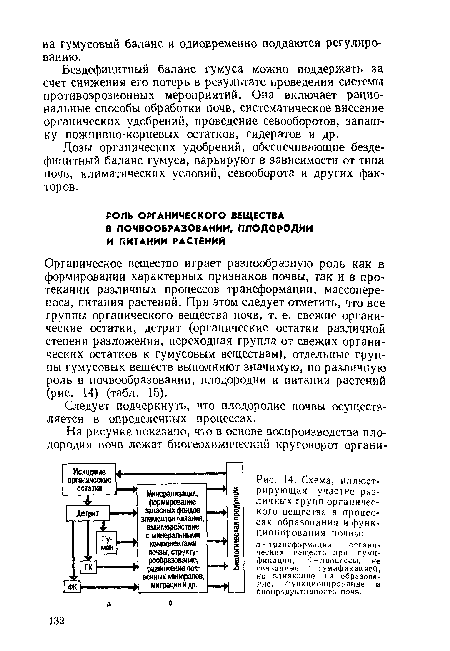 Схема, иллюстрирующая участие различных групп органического вещества в процессах образования и функционирования почвы