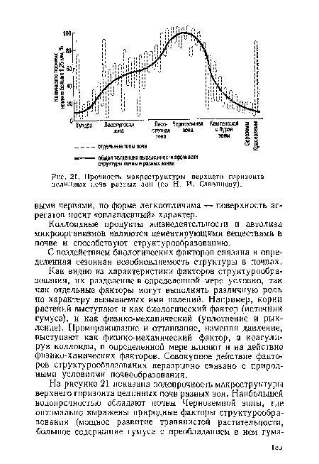 Прочность макроструктуры верхнего горизонта целинных почв разных зон (по Н. И. Саввинову).