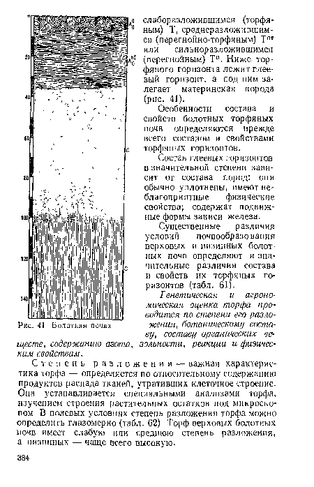 Болотная почва