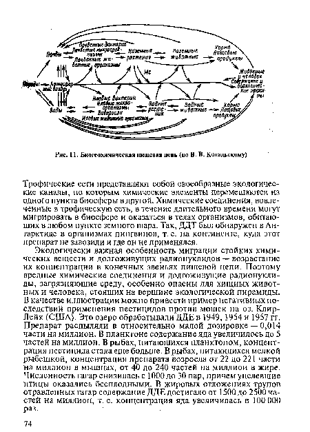 Биогеохимическая пищевая цепь (по В. В. Ковальскому)