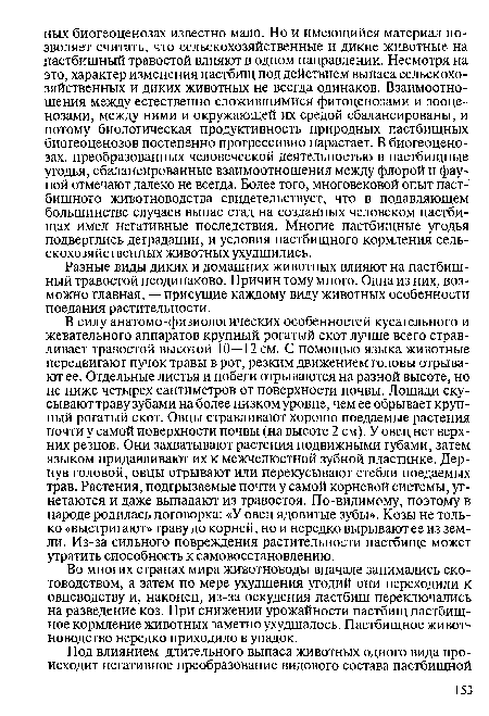 Во многих странах мира животноводы вначале занимались скотоводством, а затем по мере ухудшения угодий они переходили к овцеводству и, наконец, из-за оскудения пастбищ переключались на разведение коз. При снижении урожайности пастбищ пастбищное кормление животных заметно ухудшалось. Пастбищное животноводство нередко приходило в упадок.