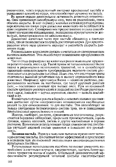 Домашние животные часто при пастьбе сбиваются в плотные стада, что не позволяет им получать достаточно корма. Для предотвращения этого надо удлинить маршрут и увеличить скорость движения стада.