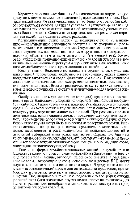 Особую опасность для животных (и людей) представляет загрязнение среды бациллами (спорами) сибирской язвы. Споры возбудителя сибирской язвы устойчивы к воздействию факторов природной среды. Они сохраняются в грунте десятки лет и содержат потенциальную угрозу заражения животных и людей. При разливах полых и ливневых вод, размывающих почвы, проведении мелиоративных работ, строительстве дорог споры возбудителя сибирской язвы из глубоких слоев грунта могут быть вынесены на поверхность земли. Био-геохимическая пищевая цепь почва -»растения -> животные -> человек загрязняется, и риск возникновения вспышек эпизоотий и эпидемий сибирской язвы резко возрастает. Охрана пастбищных биогеоценозов и их окружения от бактериальных загрязнений представляет собой острую экологическую, ветеринарно-медицинскую, санитарно-гигиеническую проблему.