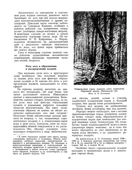 По наблюдениям А. П. Тольского, зимой 1908—■ 1909 гг. в Боровом опытном лесничестве две сосны 24 и 16 лет высотой 7,6 и 3,7 м собрали изморози — первая 106 кг, а вторая 50 кг.