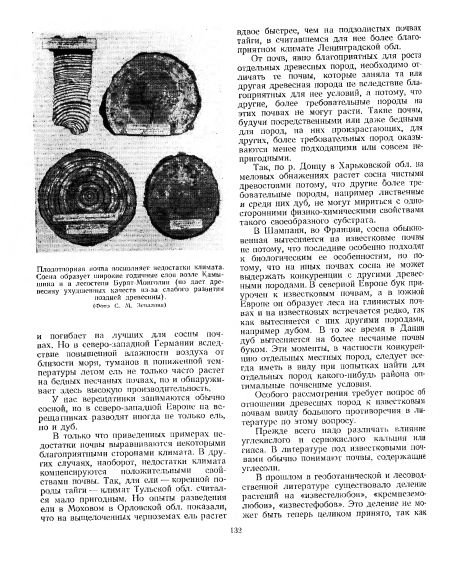 Особого рассмотрения требует вопрос об отношении древесных пород к известковым почвам ввиду большого противоречия в литературе по этому вопросу.