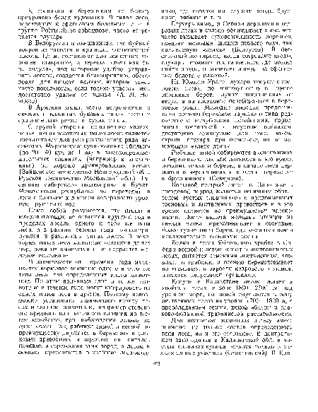 Рябчики зимой собираются в ольшаниках и березняках, так как питаются в это время почками ольхи и березы, в начале лета держатся в черничниках и к осени переходят в брусничники (Северцов).