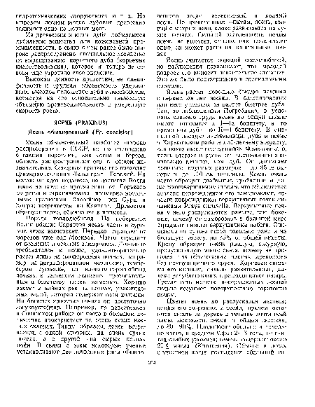 Ясень растет довольно быстро, начиная с первых же лет жизни. В благоприятных для него условиях он растет быстрее дуба. Так, по наблюдениям Погребняка, в условиях свежего груда ясень по общей шкале высот относится к I—1а бонитету, в то время как дуб — ко II—I бонитету. В смешанной посадке лиственницы, дуба и ясеня в Харьковском районе к 30-летнему возрасту, как показывают исследования Фальковского, ясень отстает в росте от лиственницы значительно меньше, чем дуб. Он достигает довольно крупных размеров — до 35 м высоты и до 100 см толщины. Ясень очень часто образует двойчатые, тройчатые и даже многовершинные стволы, что объясняется отчасти повреждением его заморозками, отчасти повреждением верхушечных почек личинками Prays curtisella. Верхушечные почки у него распускаются раньше, чем боковые, почему от заморозков в большей мере страдают именно верхушечные побеги. Очищается от сучьев ствол довольно рано и на большую высоту, до 75% от общей высоты. Крону образует очень рыхлую, ажурную, пропускающую много света, почему не пригоден для образования чистых древостоев без почвозащитного яруса. Корневая система его мощная, сильно разветвленная, далеко углубляющаяся и расходящаяся вширь. Густая сеть мелких поверхностных корней сильно иссушает поверхностные горизонты, почвы.