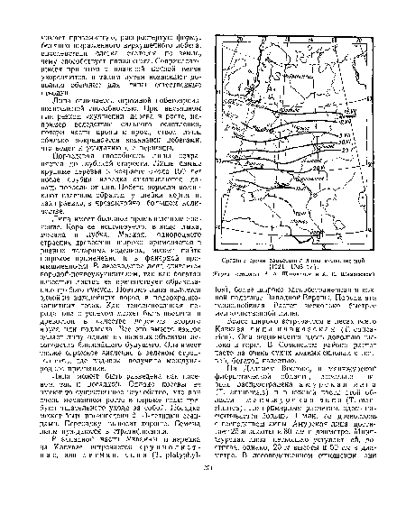 Средние сроки зацветания липы мелколистной (1924—1938 гг.).